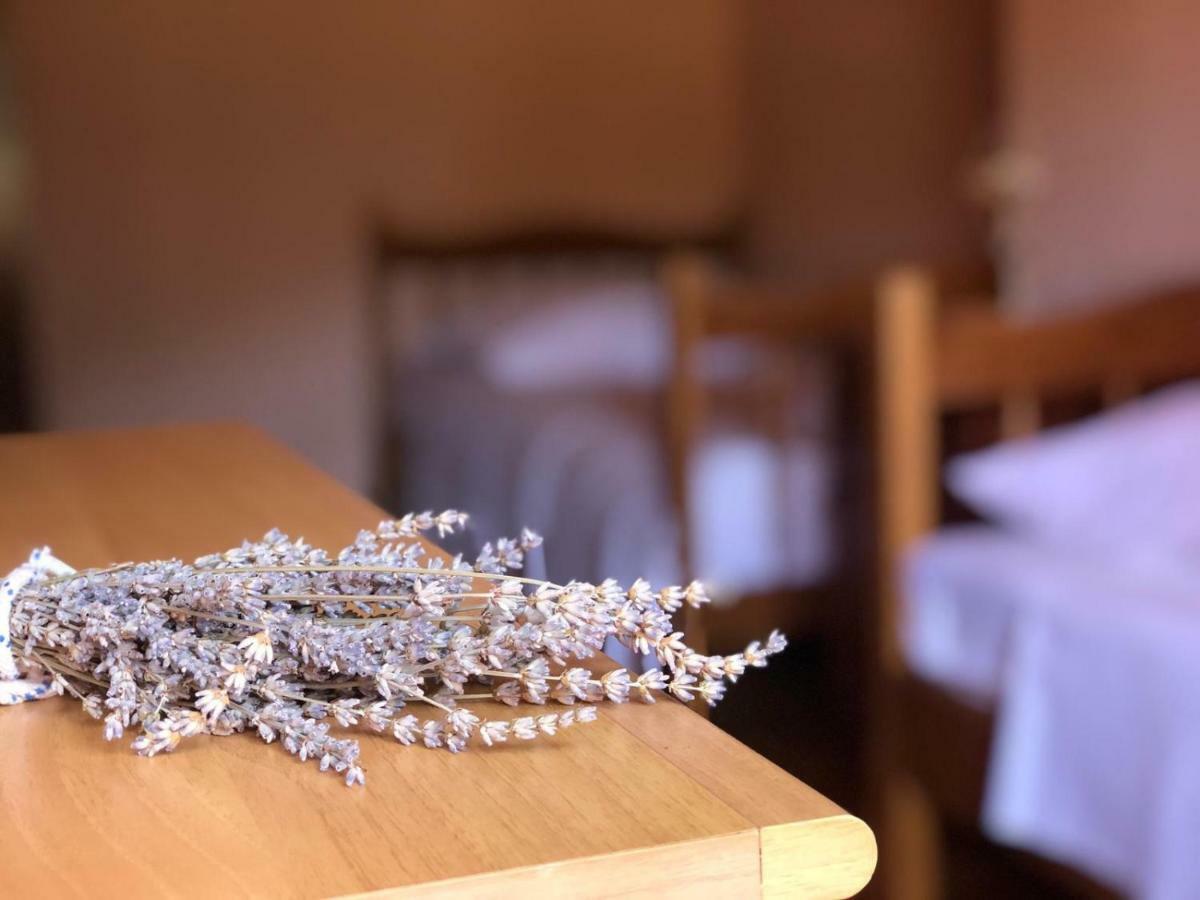 Holiday home Villa Kastel Zrnovo Esterno foto