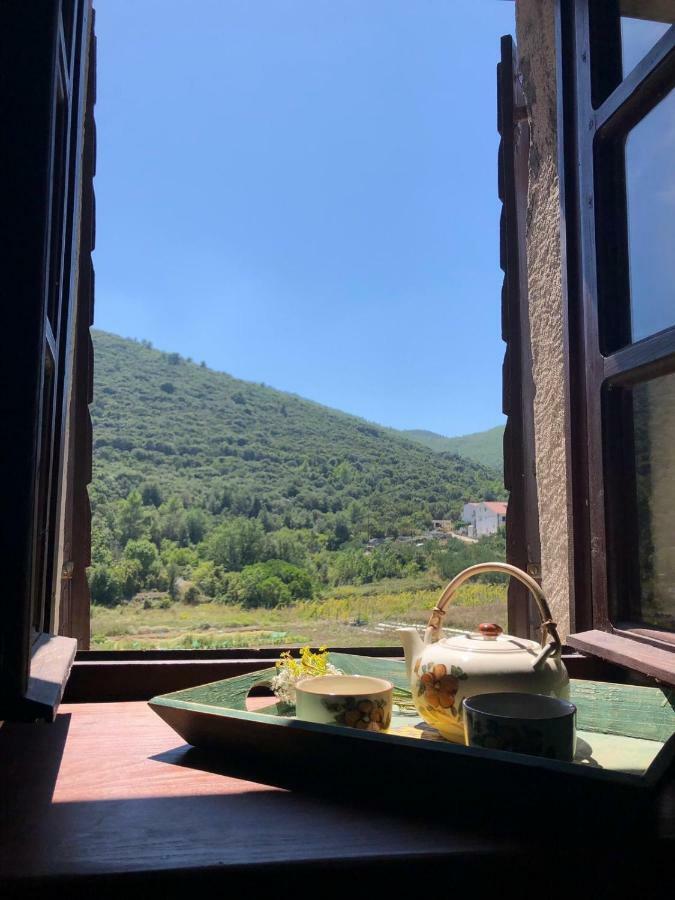 Holiday home Villa Kastel Zrnovo Esterno foto